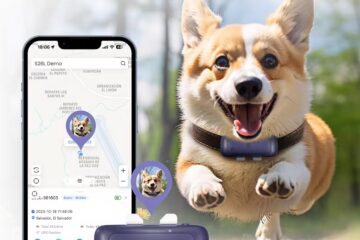 Seeworld صورة جهاز تتبع الحيوانات الاليفة